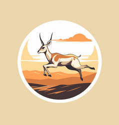 Springbok Antelope In The Desert