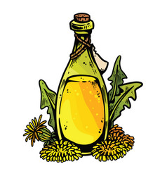 Dandelion Wine Cartoon Bottle Icon Jar