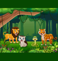 Wild Animals Cartoon In The Jungle