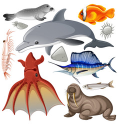 Sea Animals Collection