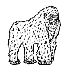 Gorilla Animal Coloring Page For Adults