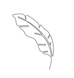 Feather Leaf Line Art Continuous