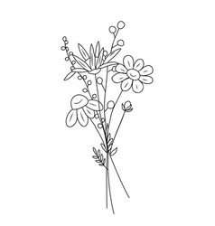 Bouquet With Daisy Flowers Plants Line Art