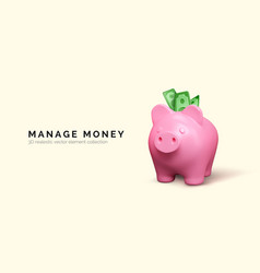 3d Realistic Piggy Bank Pink Pig Isolated