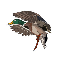 Duck Hunting Logo Image