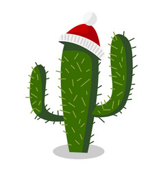 Cactus In Winter Hat Christmas Succulent