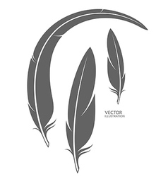 Feather set Royalty Free Vector Image - VectorStock