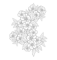 Flower Cluster Drawing Easy Coloring Pages