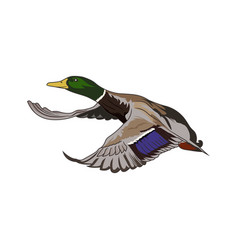 Duck Hunting Logo Image