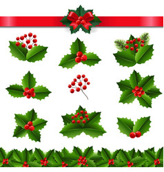 Holly Berry Big Set Transparent Background