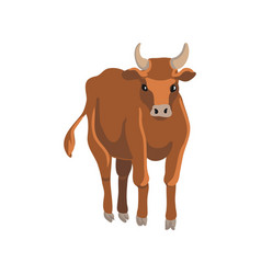 Drawing Brown Cow