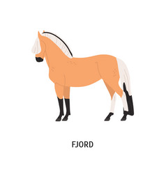 Fjord Breed Horse Flat