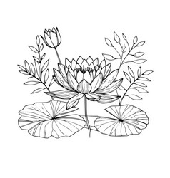 Bouquet Of Waterlily Line Art Coloring Page