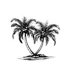 Palm Tree With Coconut Hand Drawn Sketch Ink