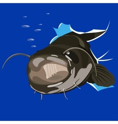 Catfish Jumping Circle Cartoon Royalty Free Vector Image