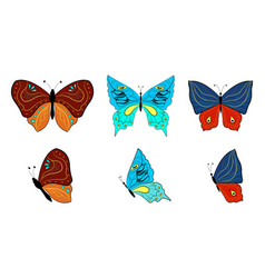 Set Of Colored Butterflies Summer Insects