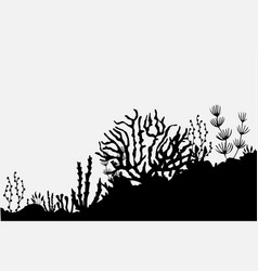 Silhouette Of Sea Plant Underwater