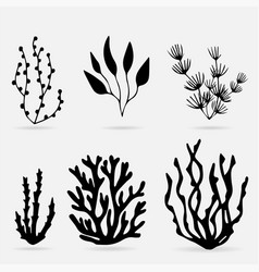 Collection Of Sea Plant Silhouette