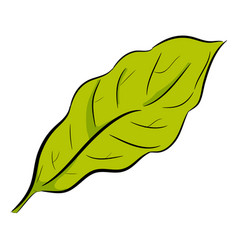 Green Leaf Side View