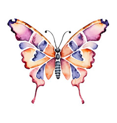 Digital Painting Pink Watercolor Butterfly Clipart