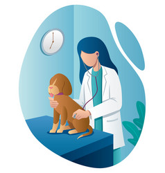 Veterinarian And Dog