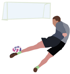 Sportsman Kicks The Ball Into The Net