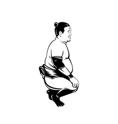 Sumo Wrestler Or Rikishi Squatting Side View