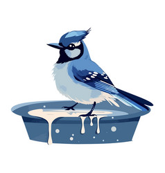 Cute Blue Jay Perching On Water Bucket