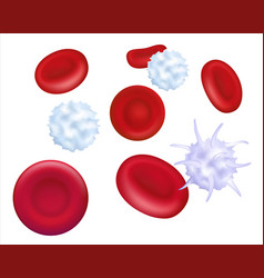 Healthy Human Platelets Red And White Blood Cells