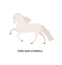 Pura Raza Espanola Flat