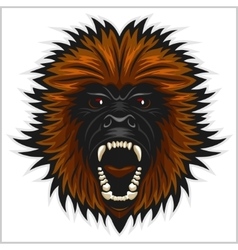 Gorilla Head Isolated