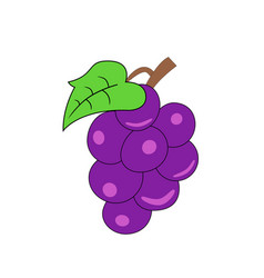 Grapes On White Background