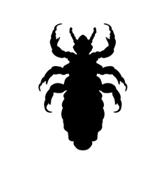 Silhouette Of Head Human Louse Pediculus Humanus