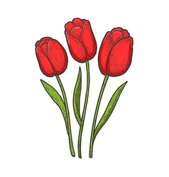 Tulip Tattoo Drawn Vector Images Over 130