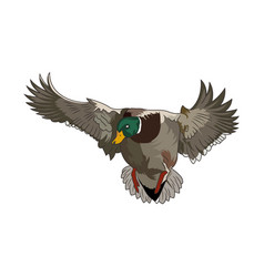 Duck Hunting Logo Image