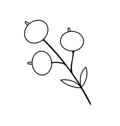 Foliage Berry Branch Floral Icon Hand Drawn