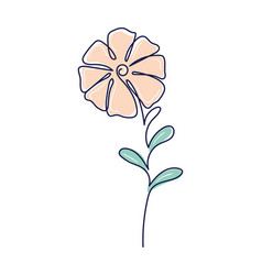 One Line Drawing Flower