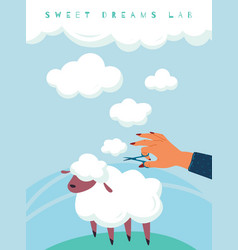 Sheep Wool Clouds Sweet Dreams Person Holds