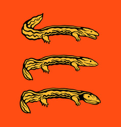 Chinese Giant Salamander Hellbender Icon