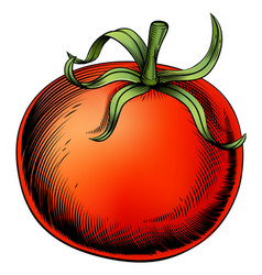 Tomato Vintage Woodcut