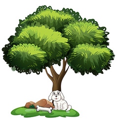 A Cute Dog Under The Tree