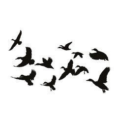 Flying Duck Silhouette