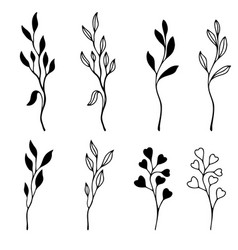 Greenery Leaves Set Hand Drawn Floral