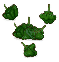 Group Of Green Scotch Bonnet Pepperscartoon Style