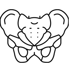 Pelvis Bone Line Icon