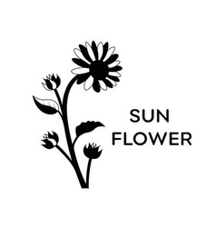 Floral Leaves And Sun Flower Isolated