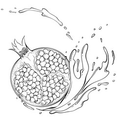 Half Pomegranate With Splash Line Art