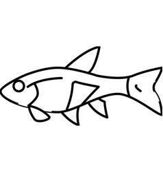 Rasbora Fish Line Icon