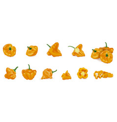 Set Of Yellow Scotch Bonnet Peppers