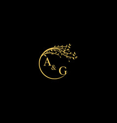 Ag Nature Theme Logo Initial Concept With High